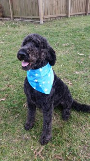 _storage_B0AD-07DF_DCIM_Camera_20151212_142200